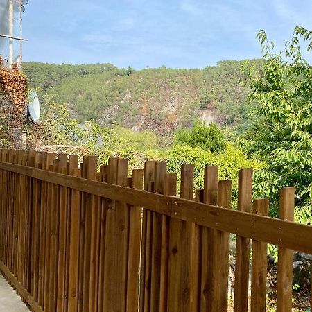 Magnifique Appartement 2/4 Pers - Le Saint Leo Kültér fotó